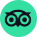 Trip Adviser Profile